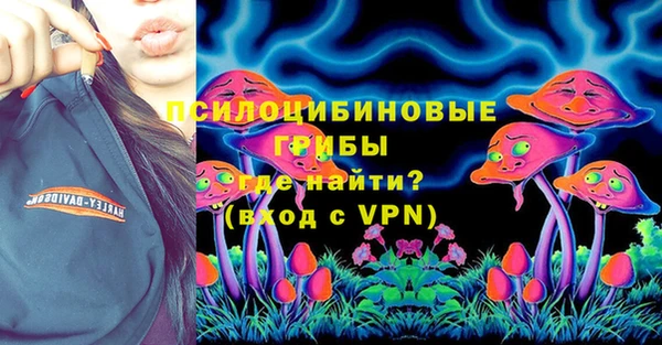 хмурый Новозыбков