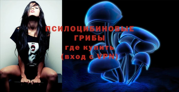 амф Верея