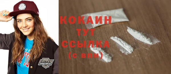 хмурый Новозыбков