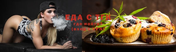 хмурый Новозыбков
