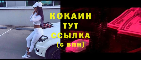 дурь Няндома