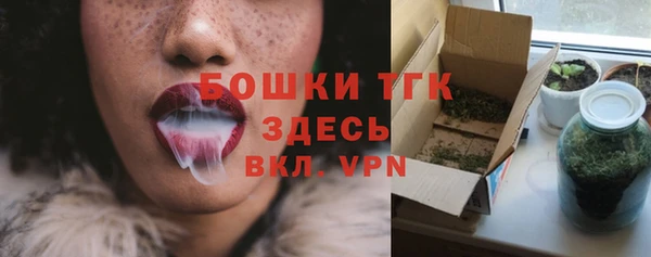 дурь Няндома