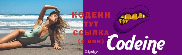 соль ск Новодвинск