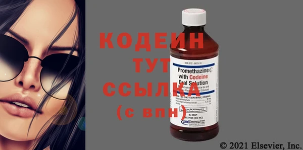 хмурый Новозыбков