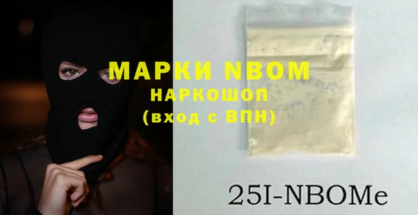 хмурый Новозыбков