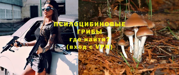 спайс Нязепетровск