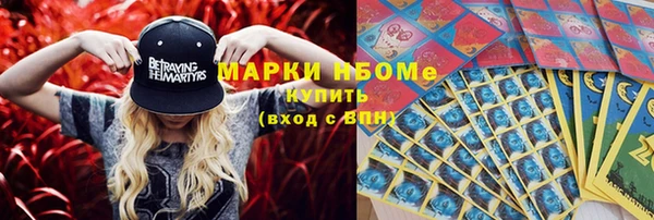 хмурый Новозыбков