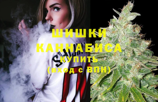 дурь Новокубанск