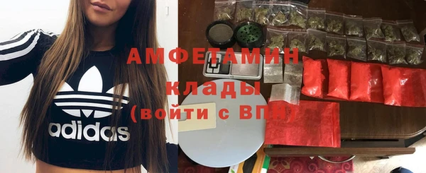 соль ск Новодвинск