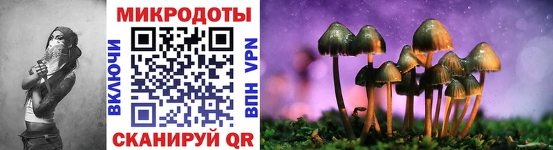 Галлюциногенные грибы Psilocybine cubensis  купить   Константиновск 