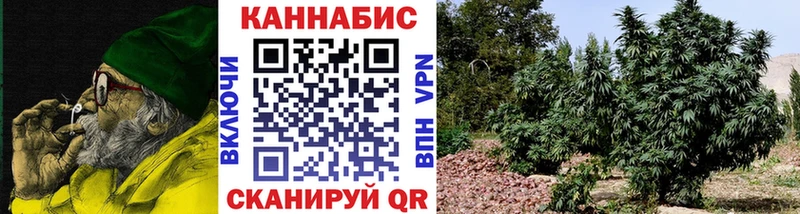 Бошки Шишки Bruce Banner  мориарти какой сайт  Константиновск 